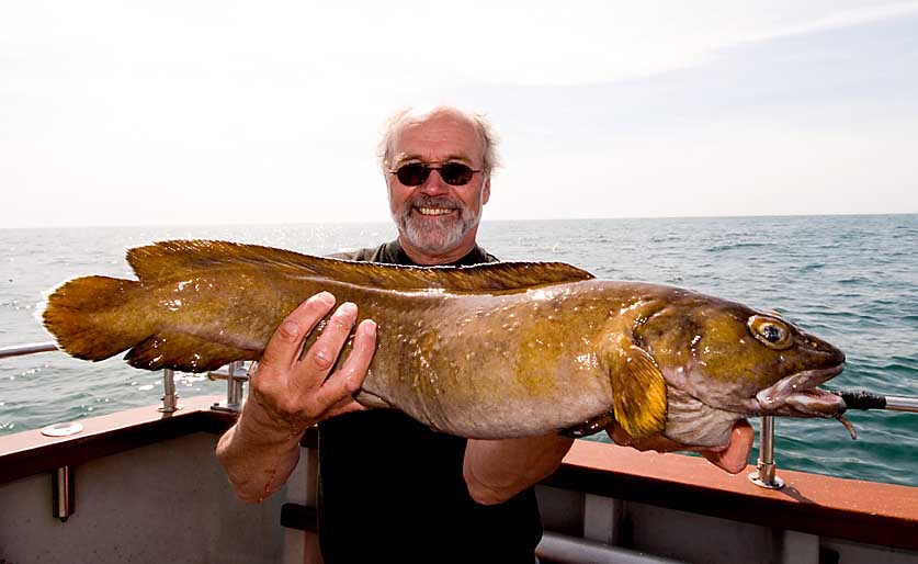 Rosguill's first specimen Torsk of 2009