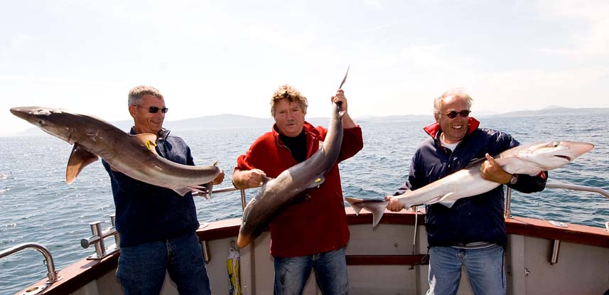 3 TOPE - LANDED, TAGGED & RELEASED TOGETHER