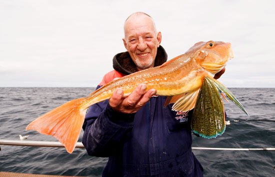 Nice Tub Gurnard