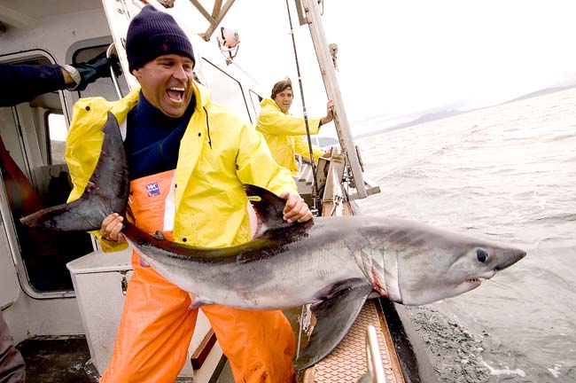 75 pound Porbeagle